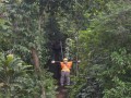Tn DSC 4250